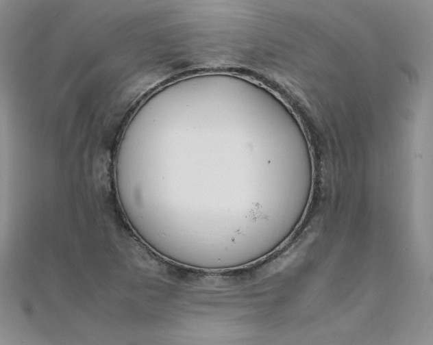 X0000108481265200904171603