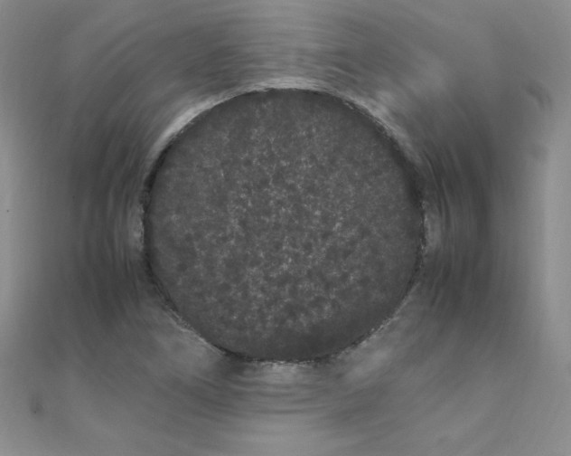 X0000108481266200904171603