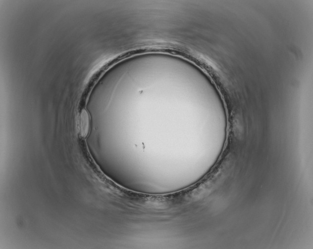 X0000108481267200904171603