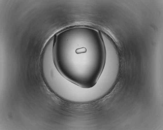 X0000108481268200904171603