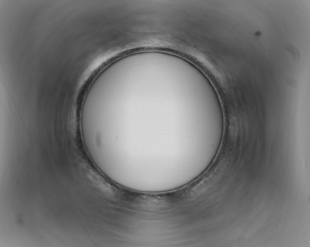 X0000108481270200904171603