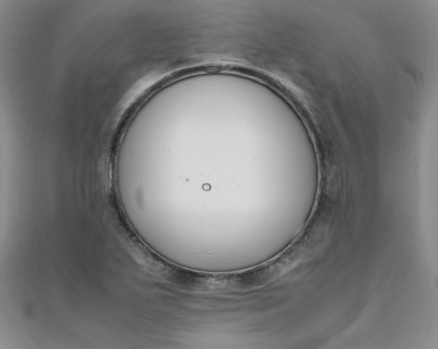 X0000108481271200904171603
