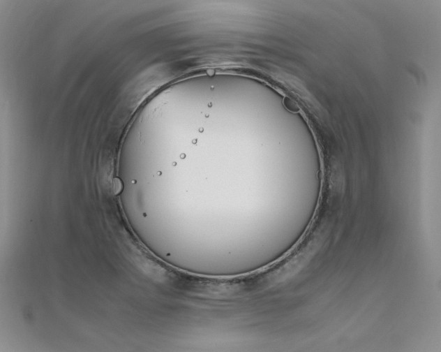 X0000108481273200904171603