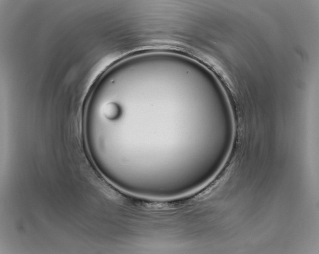 X0000108481275200904171603