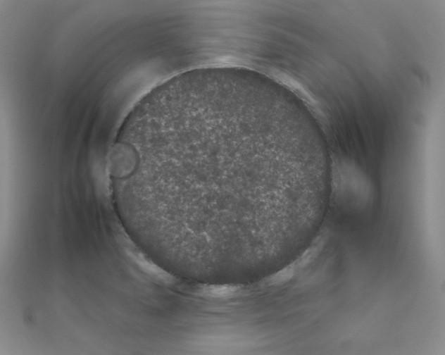 X0000108481278200904171603