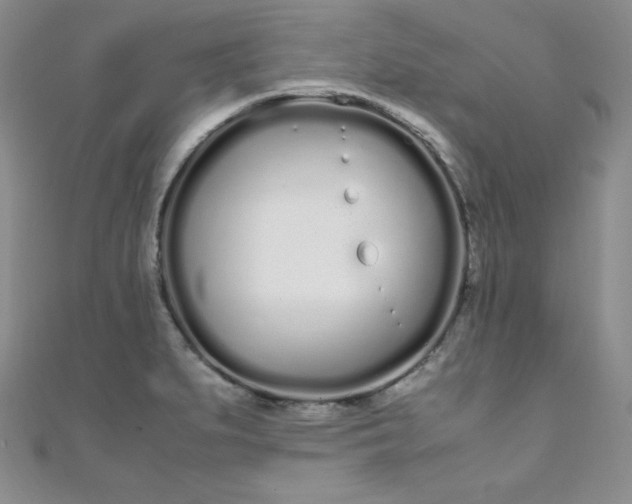 X0000108481279200904171603