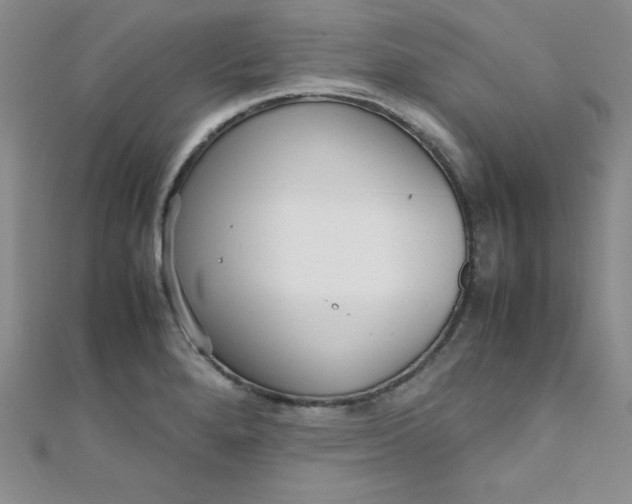 X0000108481280200904171603