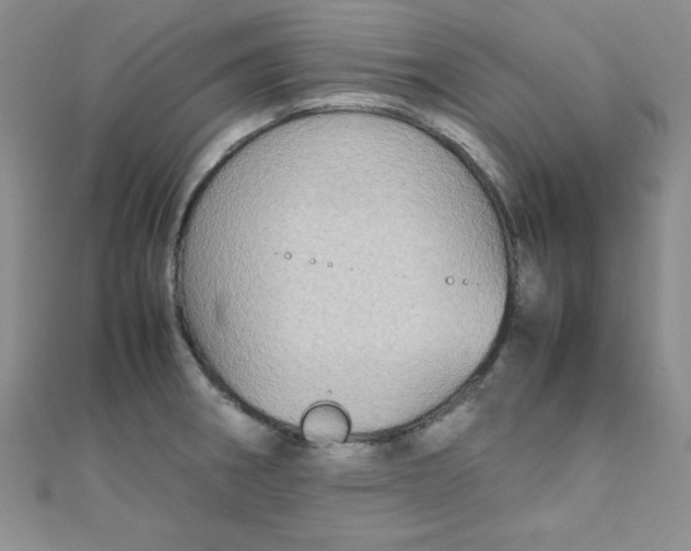 X0000108481282200904171603