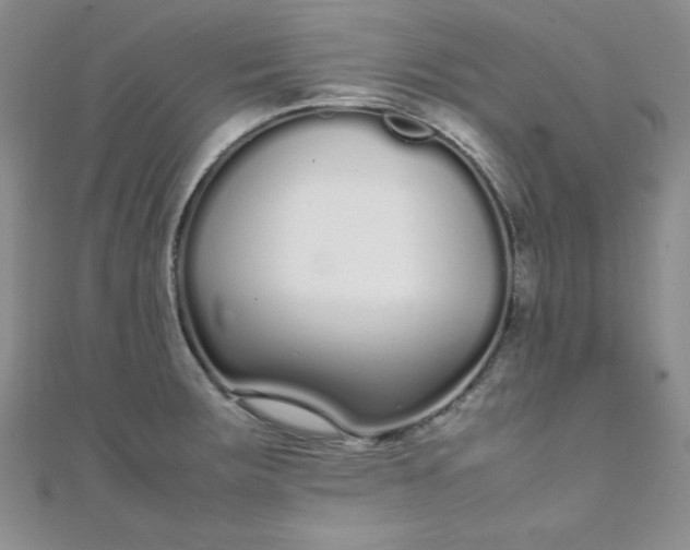 X0000108481283200904171603