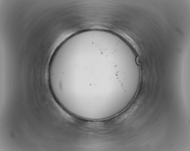 X0000108481285200904171603