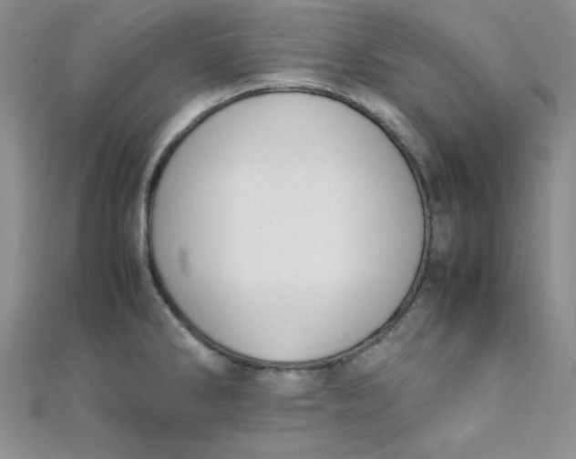 X0000108481286200904171603