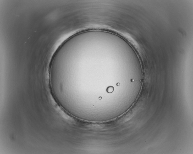 X0000108481287200904171603