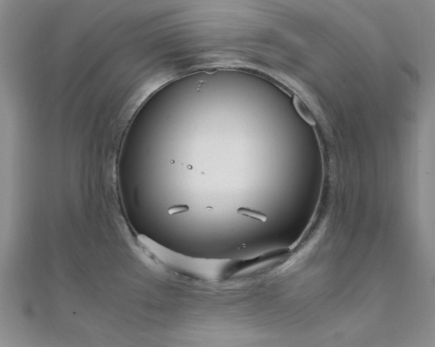 X0000108481289200904171603