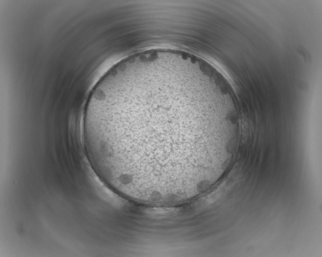X0000108481290200904171603
