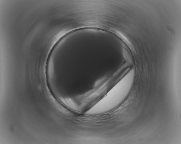 X0000108481291200904171603