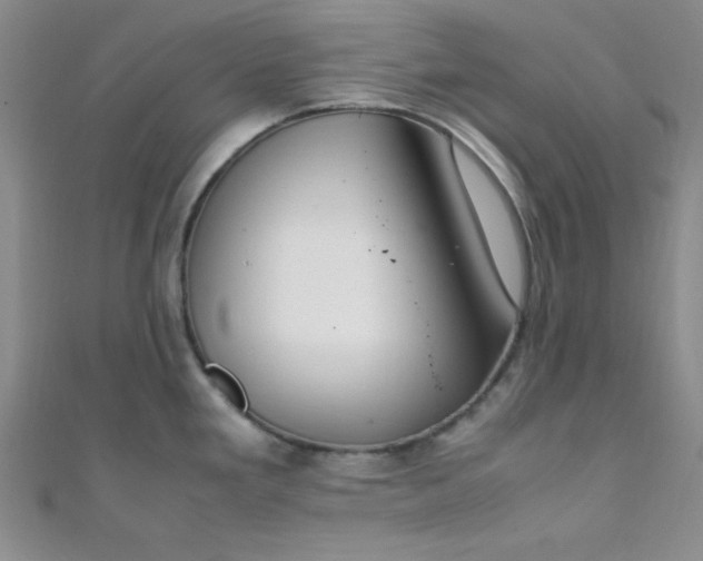 X0000108481293200904171603