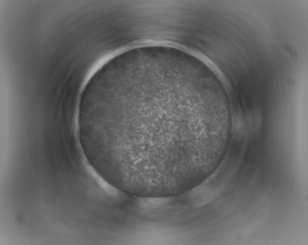 X0000108481294200904171603