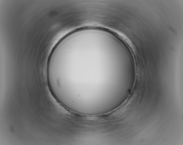 X0000108481295200904171603