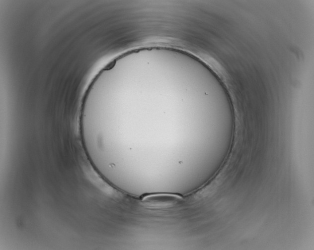 X0000108481296200904171603