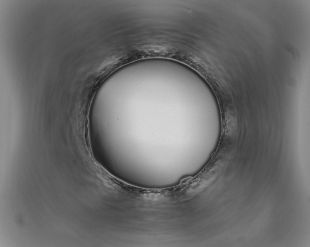 X0000108481297200904171602