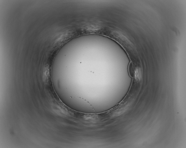 X0000108481299200904171602