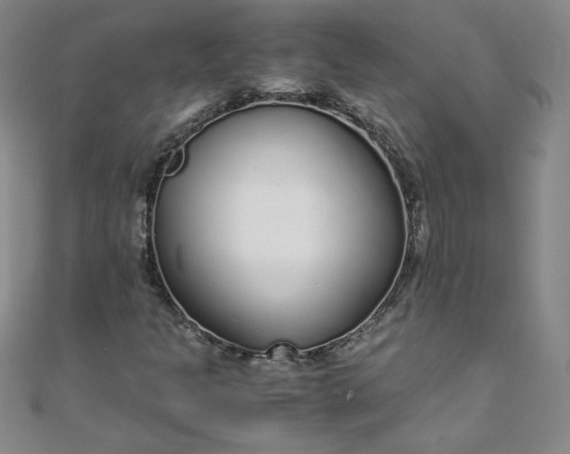 X0000108481301200904171602