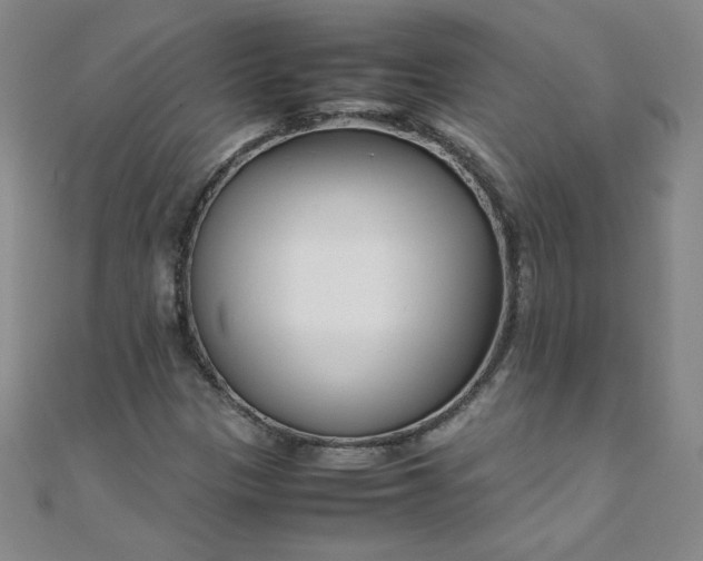 X0000108481305200904171602