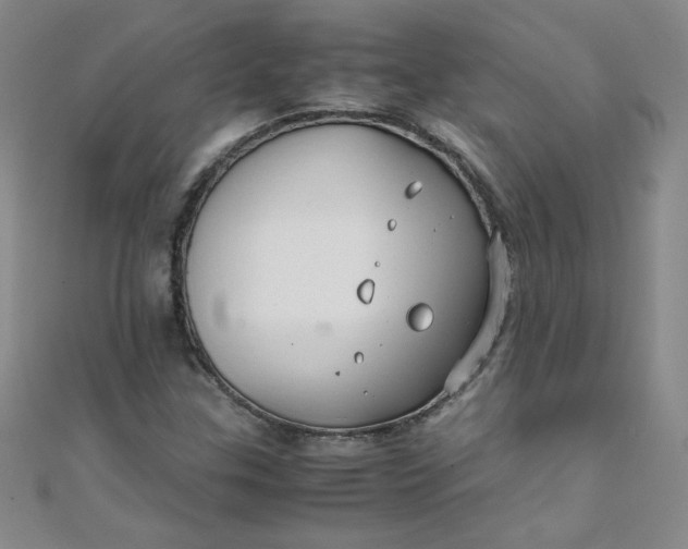 X0000108481307200904171602