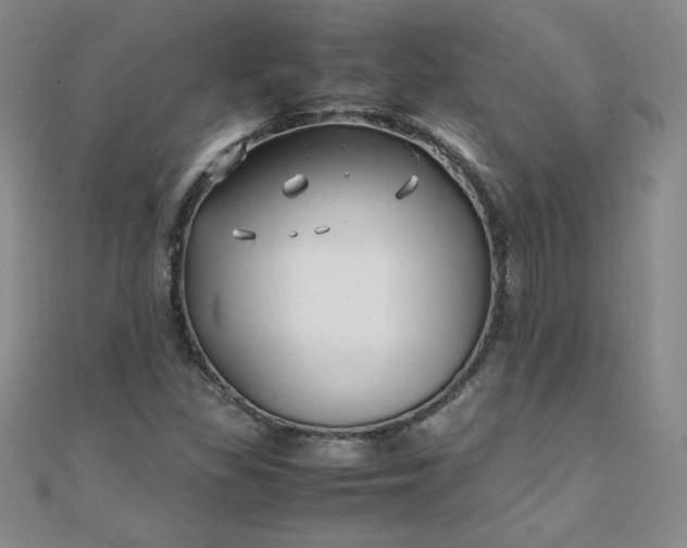 X0000108481309200904171602