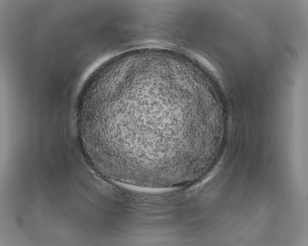X0000108481310200904171602
