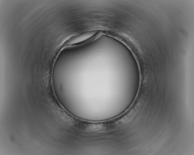 X0000108481313200904171602