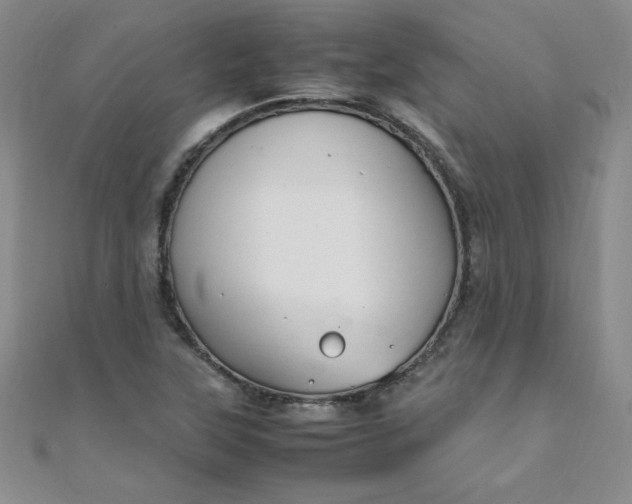 X0000108481315200904171602