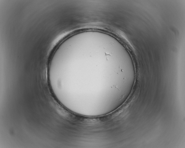 X0000108481320200904171602