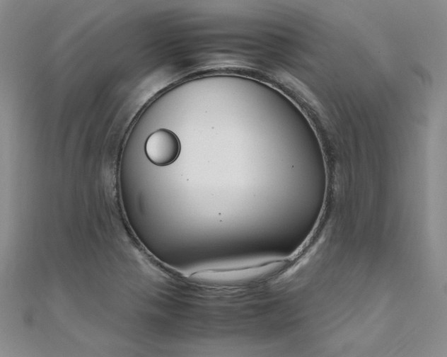 X0000108481321200904171602