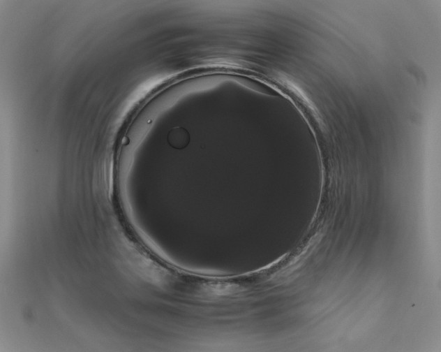X0000108481323200904171602