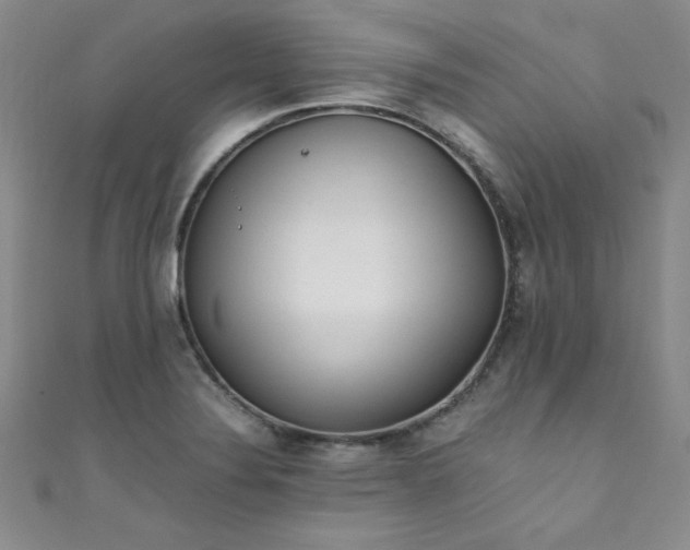 X0000108481324200904171602