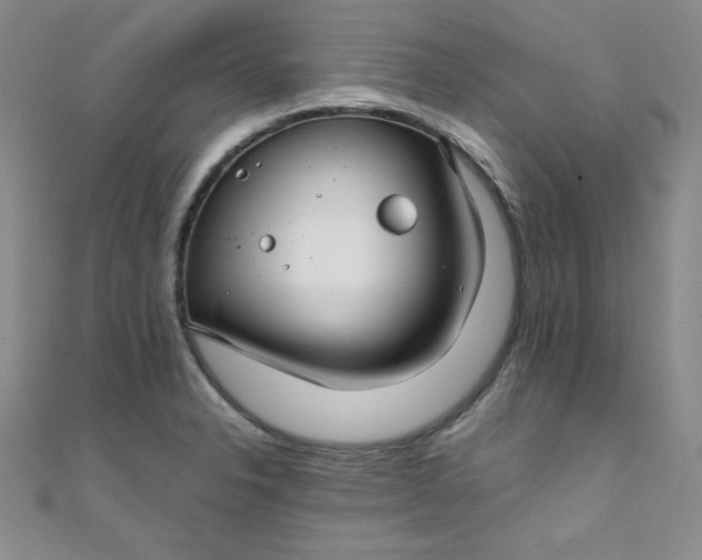 X0000108481326200904171602