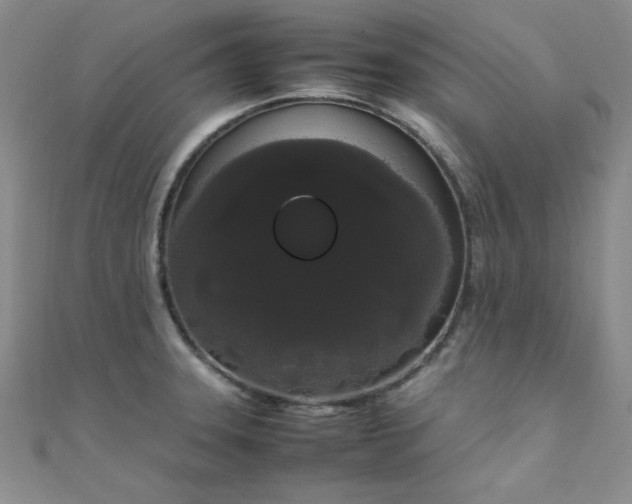 X0000108481331200904171602