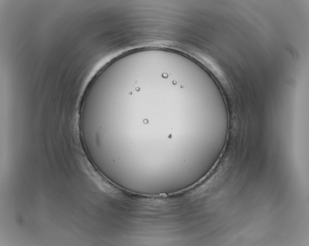 X0000108481332200904171602
