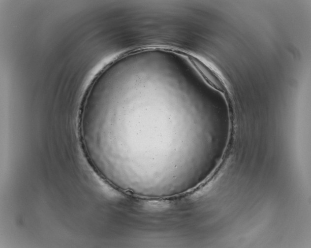 X0000108481333200904171602