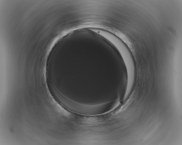 X0000108481334200904171602