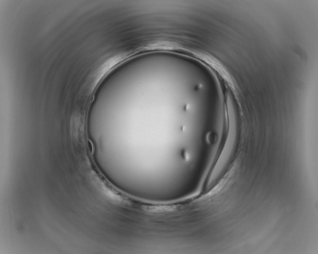 X0000108481337200904171602