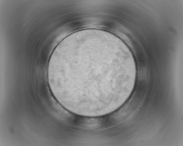 X0000108481338200904171602