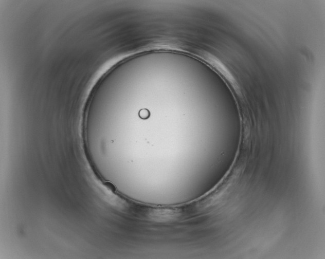 X0000108481339200904171602