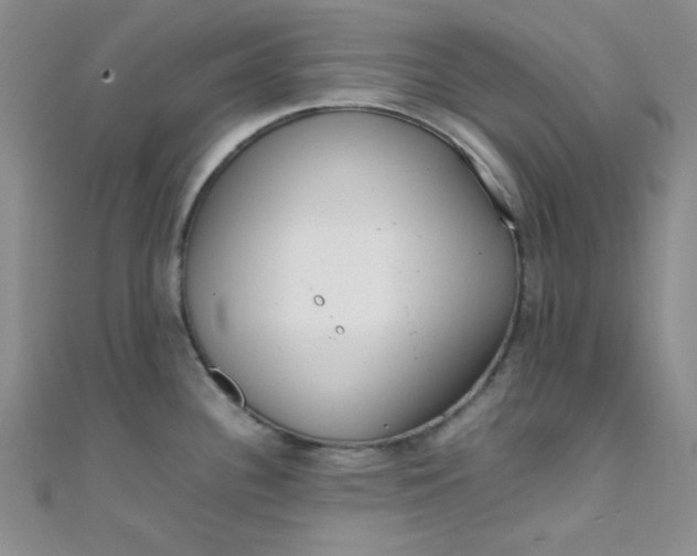 X0000108481340200904171602