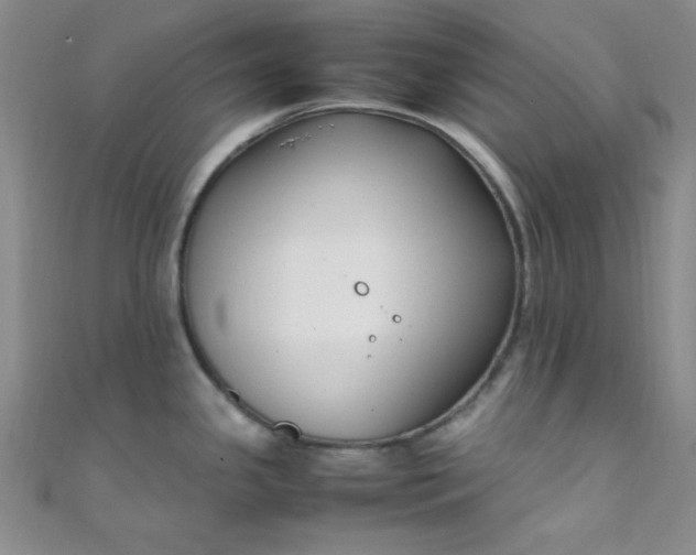 X0000108481341200904171602