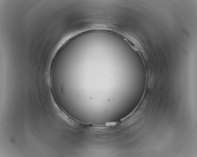 X0000108481342200904171602