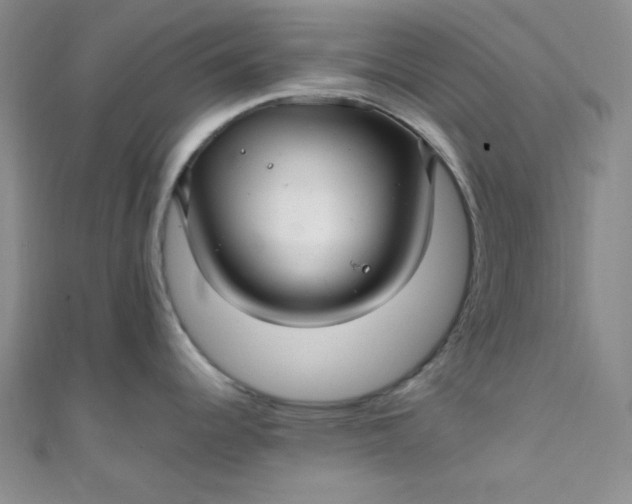 X0000108481344200904171603