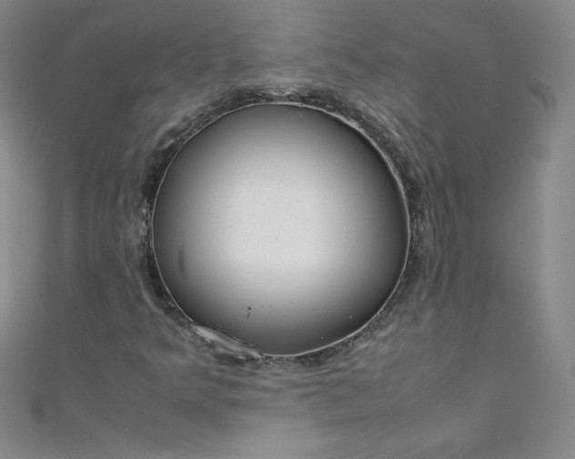 X0000108481349200904171602
