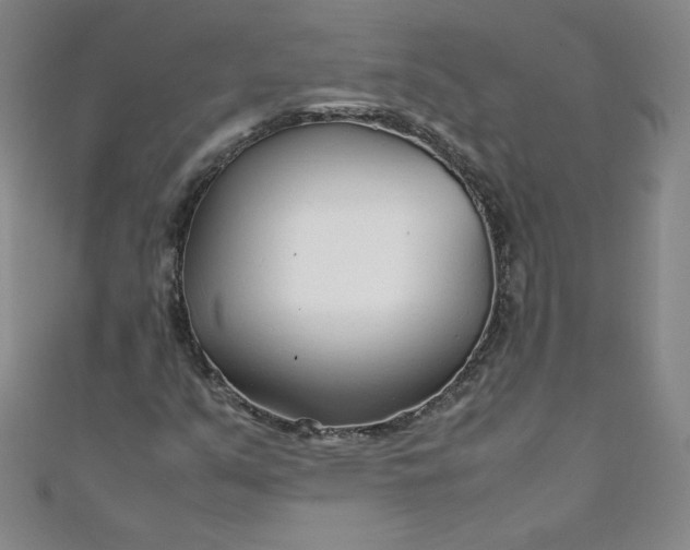 X0000108481351200904171602